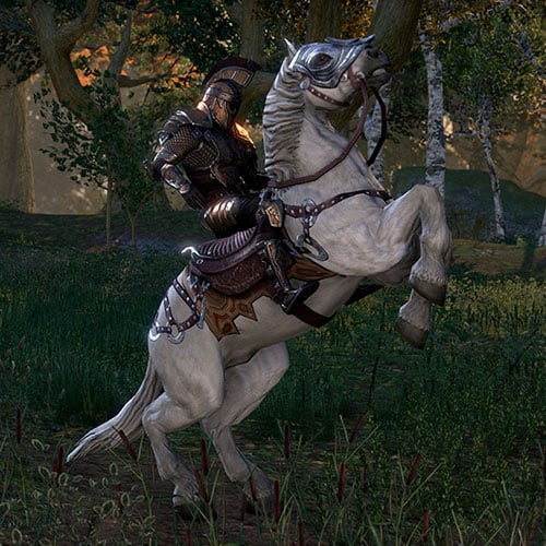 The Elder Scrolls Online Imperial Edition Cd Key